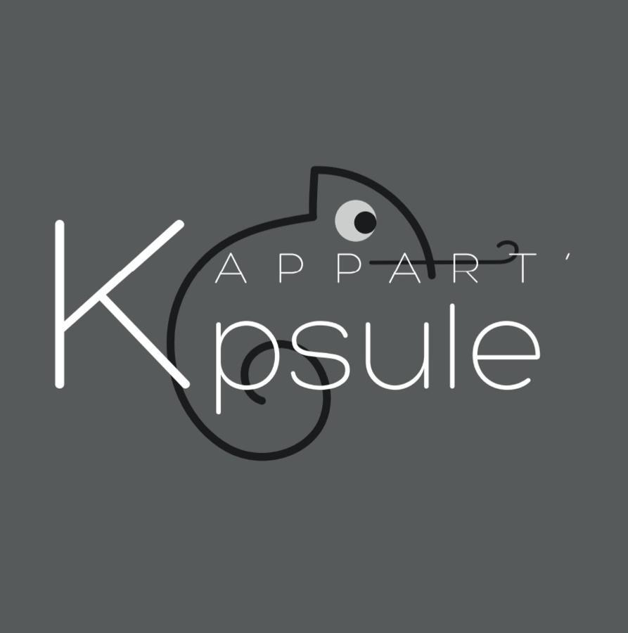 L'Appart K-Psule - Design, Tout Confort, Centre-Ville, 3 Pers Le Mans Bagian luar foto